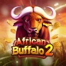 African Buffalo 2